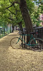 Rented by Sky Management