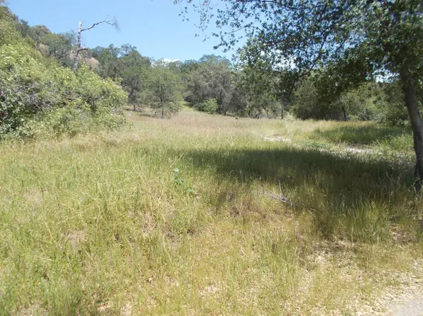 49042 Chuckwagon Rd, Squaw Valley, CA 93675