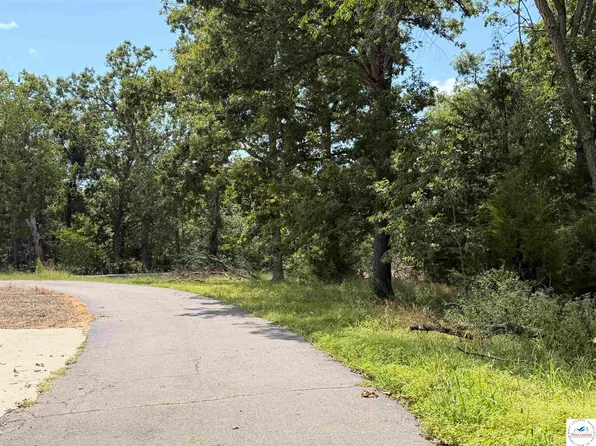 Waterview & Gazelle Dr, Warsaw, MO 65355