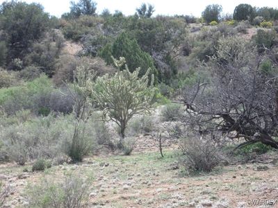 0 E Lan Dr, Kingman, AZ, 86401