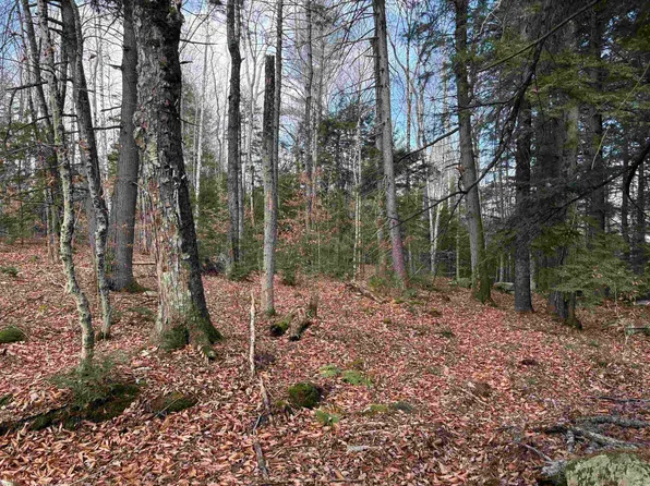 Karen Drive Lot 12, Jamaica, VT 05343