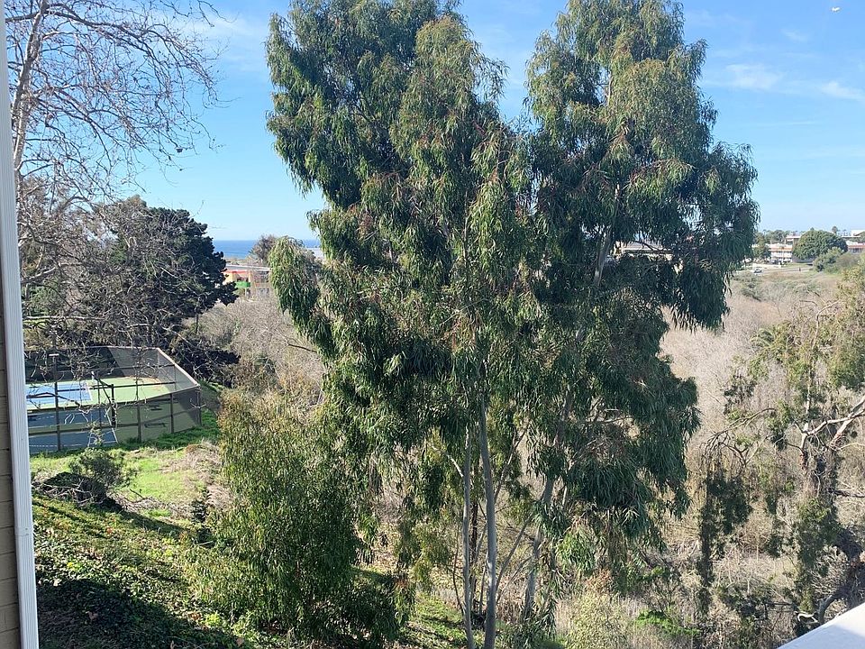 View from Upstairs Patio