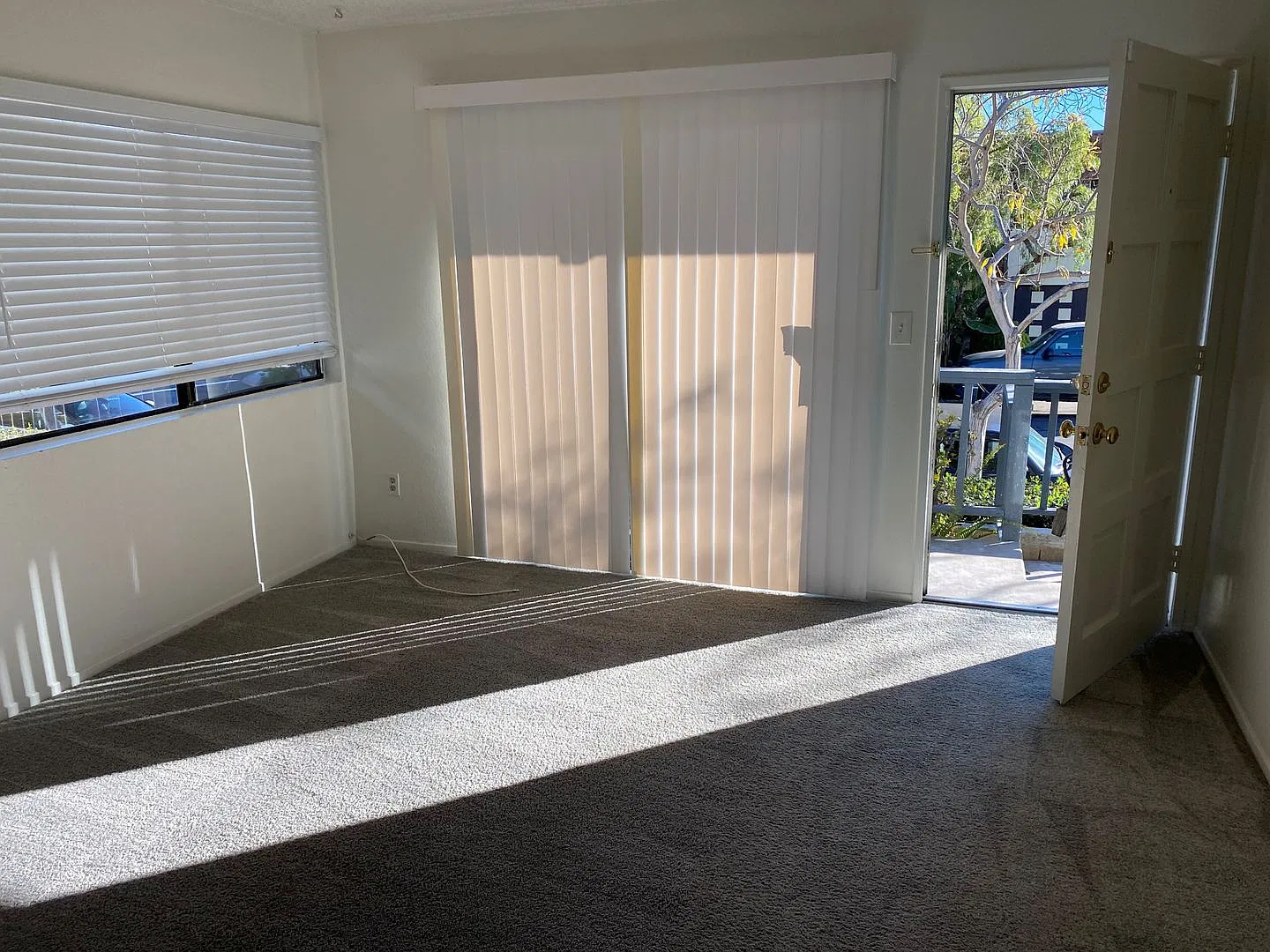 33951 Violet Lantern St — Photo 1
