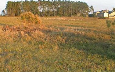 3rd image of 13330 Sugarloaf Ct