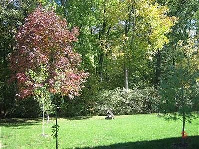 2nd image of 7823 Woodview Ct