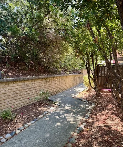 1407 Marchbanks Dr — Photo 2