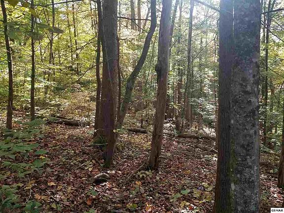 5th image of 2 Low Gap Rd Lot 2-R
