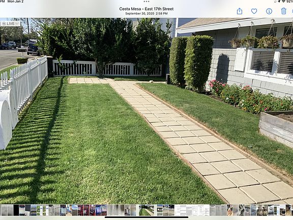 Front yard