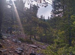 329 Eva Road, Idaho Springs, CO 80452