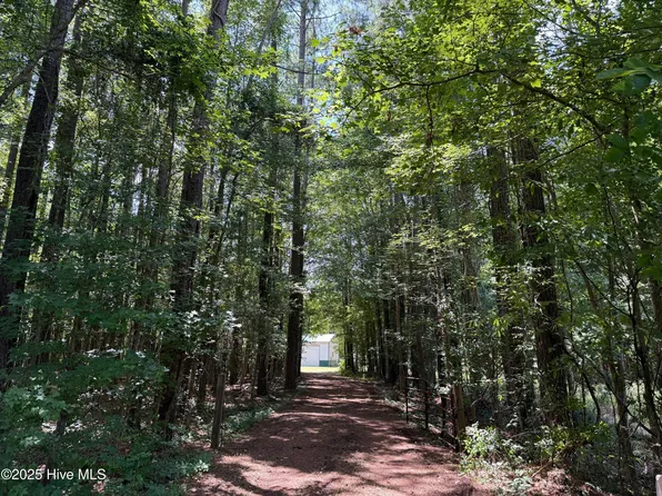 250 Tree Lane, New Bern, NC 28562