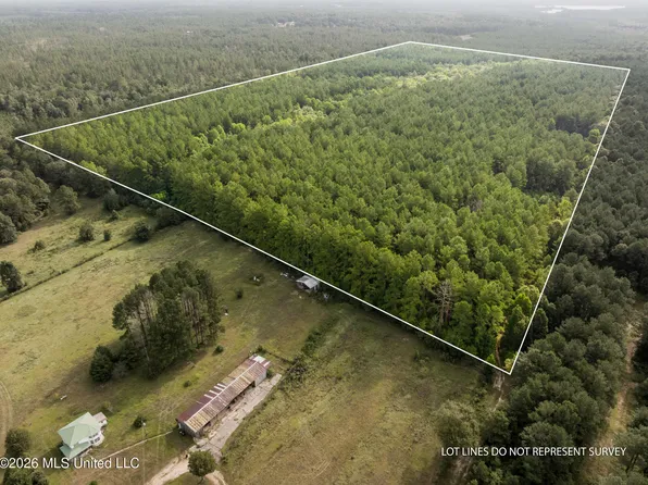 Arthur Lowe Rd, Lumberton, MS 39455