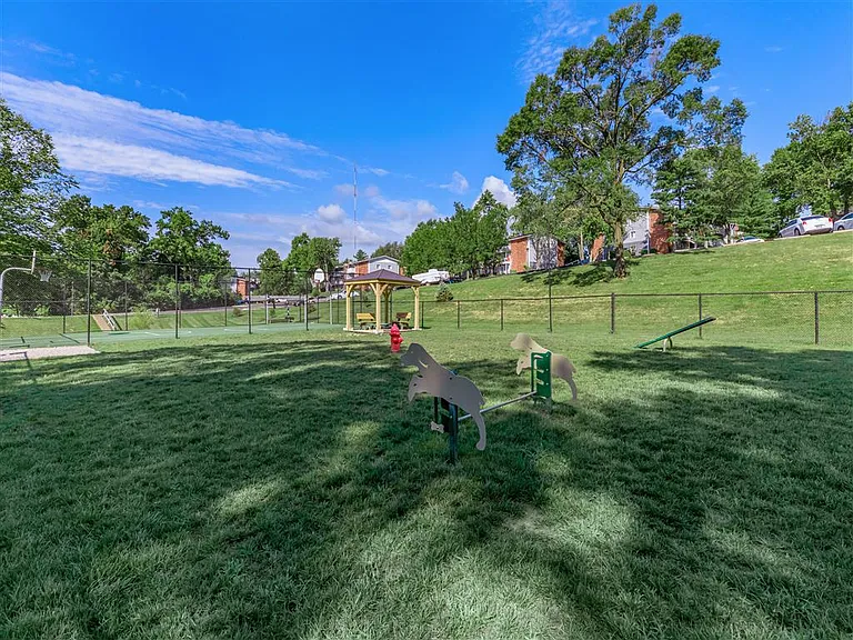Dog Park