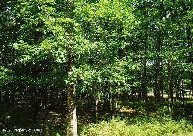 1st image of Kickapoo Dr Lot 132