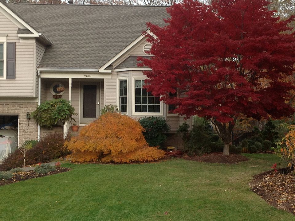 Fall colors