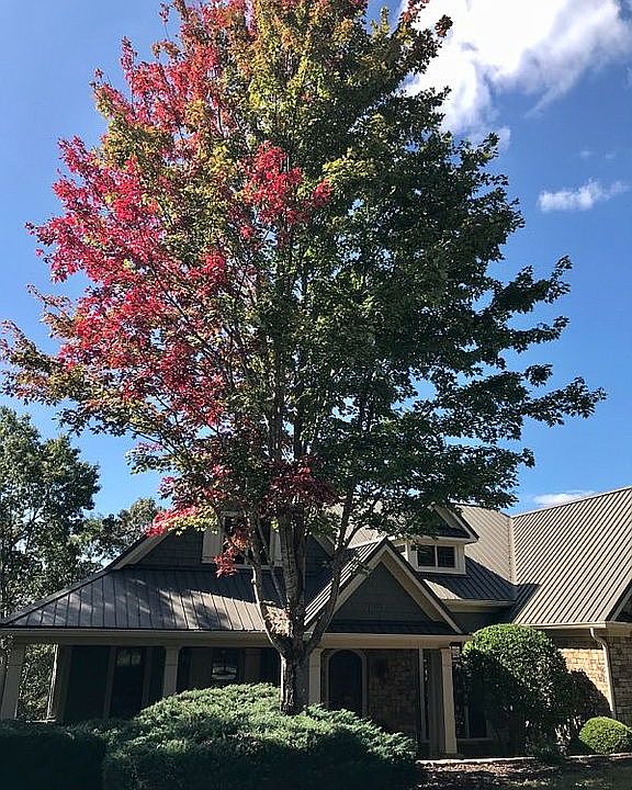 Fall