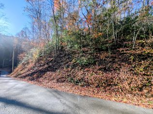 1905 Beach Front Dr, Sevierville, TN 37876