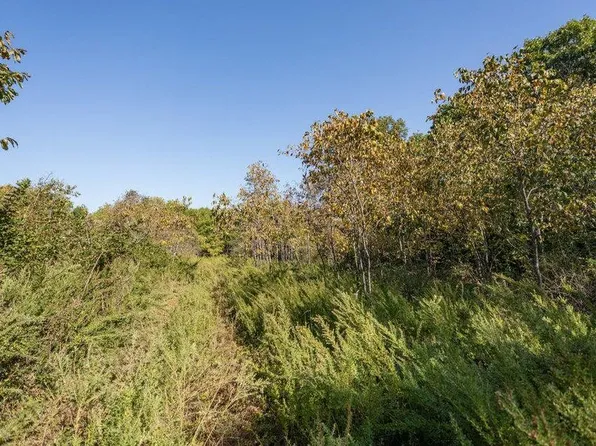 16478 Farm Road 1170, Cassville, MO 65623