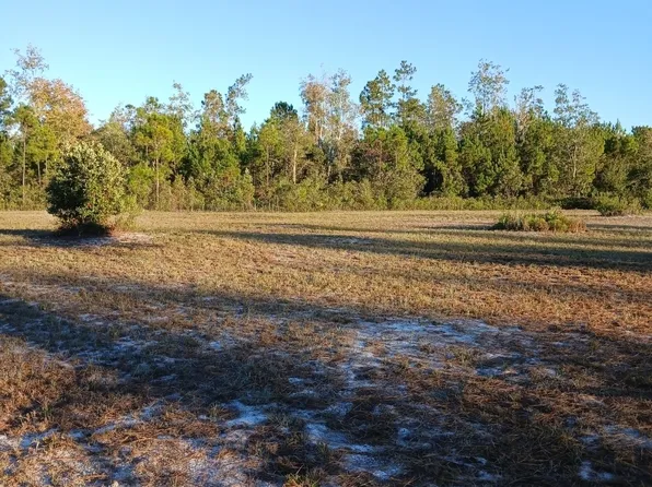 395 Mill Branch Rd, Folkston, GA 31537