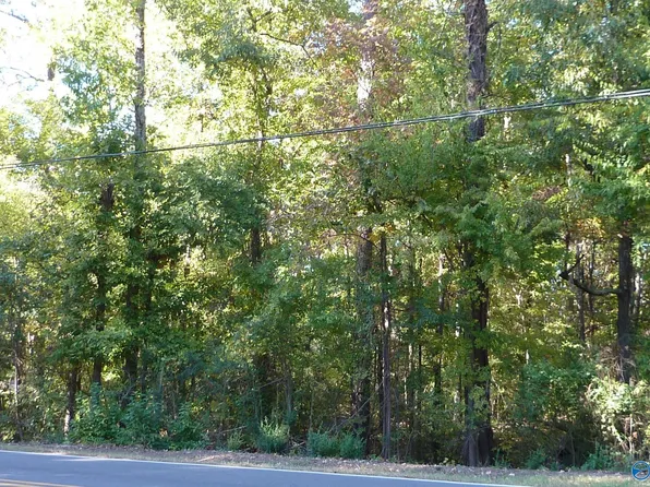 1 Vestavia Dr SW, Decatur, AL 35603