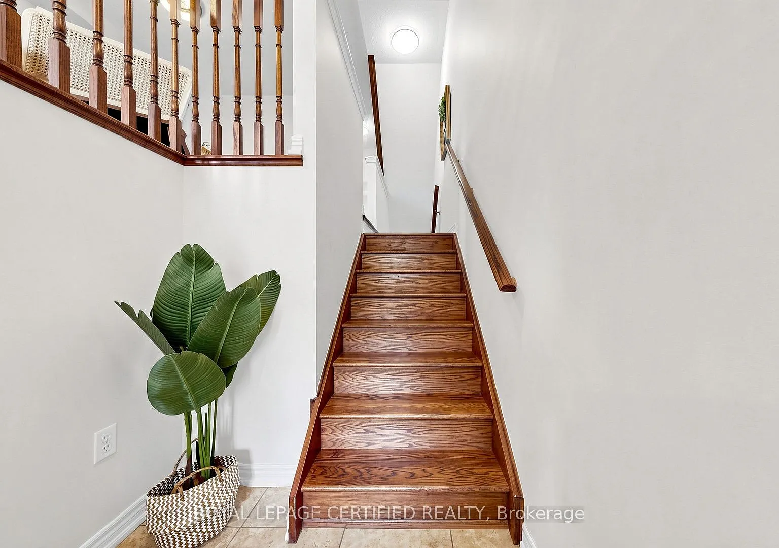3 bed, $3,800 — Photo 4