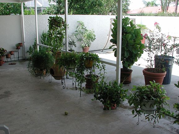 six foot wall enclosed yard