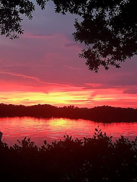 2045 River Basin Ter, Punta Gorda, FL 33982 | Zillow