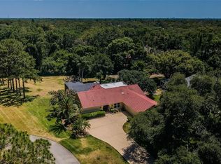 130 Woodcutter Ln, Palm Harbor, FL 34683