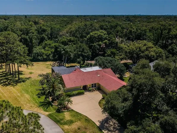 130 Woodcutter Ln, Palm Harbor, FL 34683