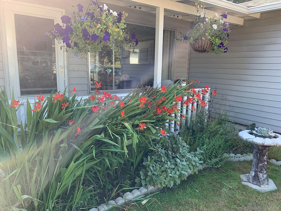 2nd image of 10822 SE 235th St