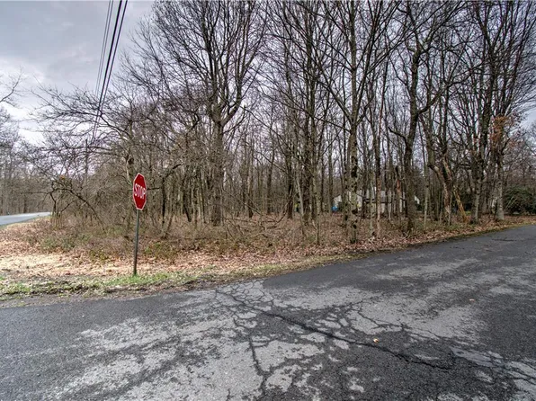 244 Dilldown Panther Rd, Jim Thorpe, PA 18229