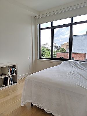5th image of 226 Clifton Pl #5B