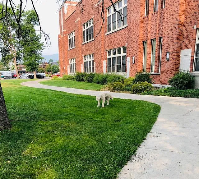 Middle school yard sidewalk to downtown WF 1 block from home