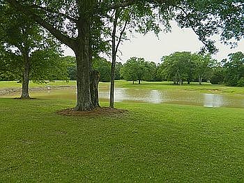 4th image of 1548 County Road 389