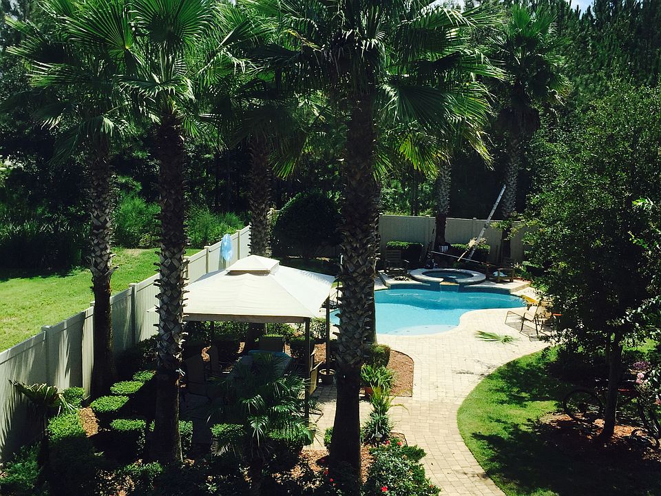 Back yard