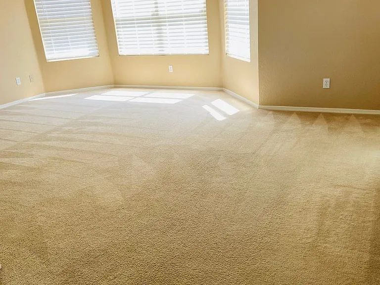 7434 S Madera Village Dr — Photo 19