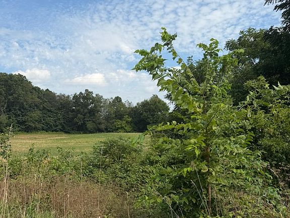 3rd image of LOT 17440 28 Mile Rd