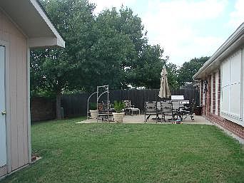 Backyard 2
