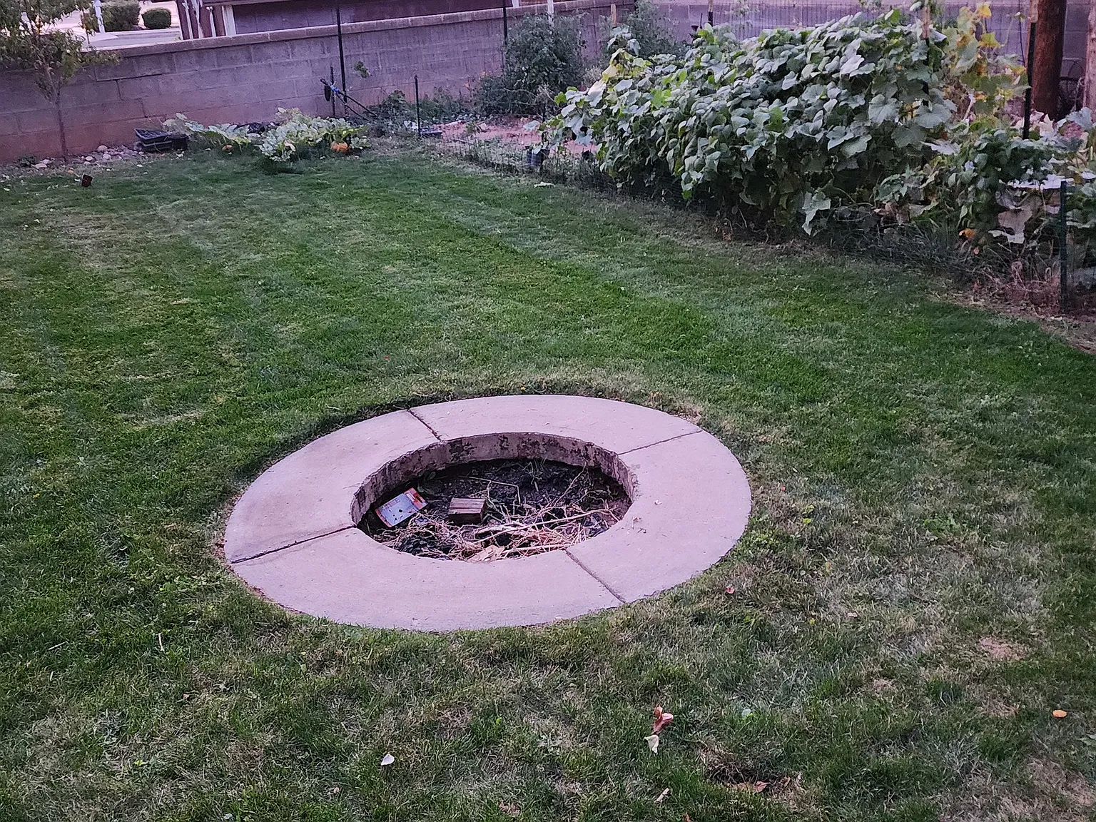 6 bed, 2300 sqft, $375 — Photo 4