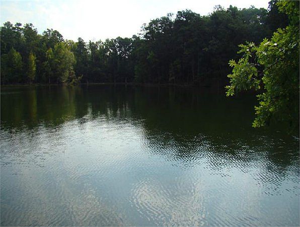 2nd image of 907 Newberry Shores Dr