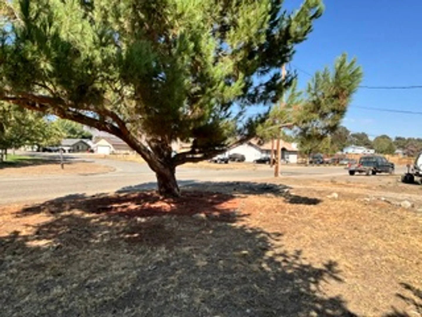 Beautiful Stallion Springs Home! — Photo 4