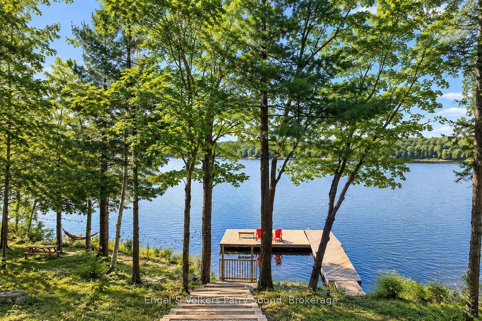 3 bed, $5,500 — Photo 4
