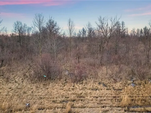 Townline Rd #1, Ransomville, NY 14131