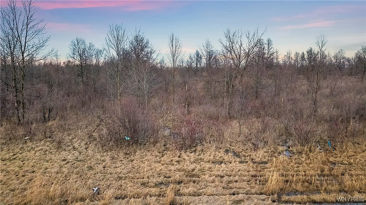 Townline Rd #1 photo 1