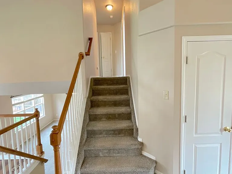 9180 Red Columbine Dr — Photo 20