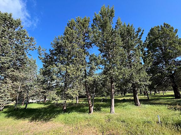 2nd image of LOT 231 Rock Dove Ct