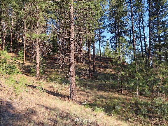 5th image of 0 TBD Hwy 21 N