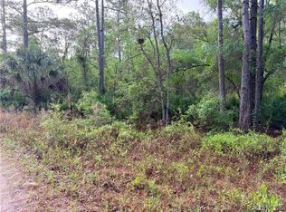 7494 W Nadel Dr, Crystal River, FL 34428