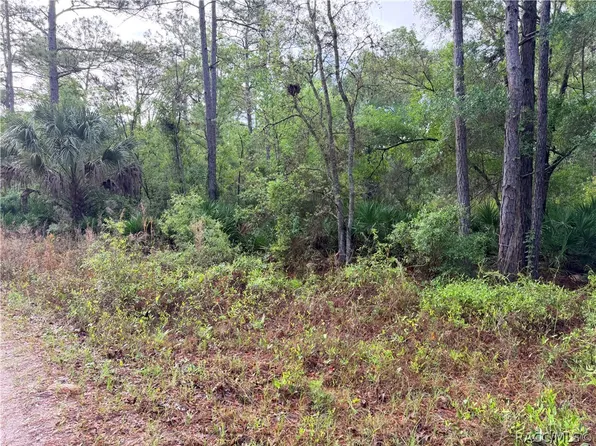 7494 W Nadel Dr, Crystal River, FL 34428