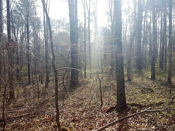 3rd image of 0 Stagecoach Rd