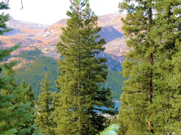 0 Lakeside, Fairplay, CO 80420